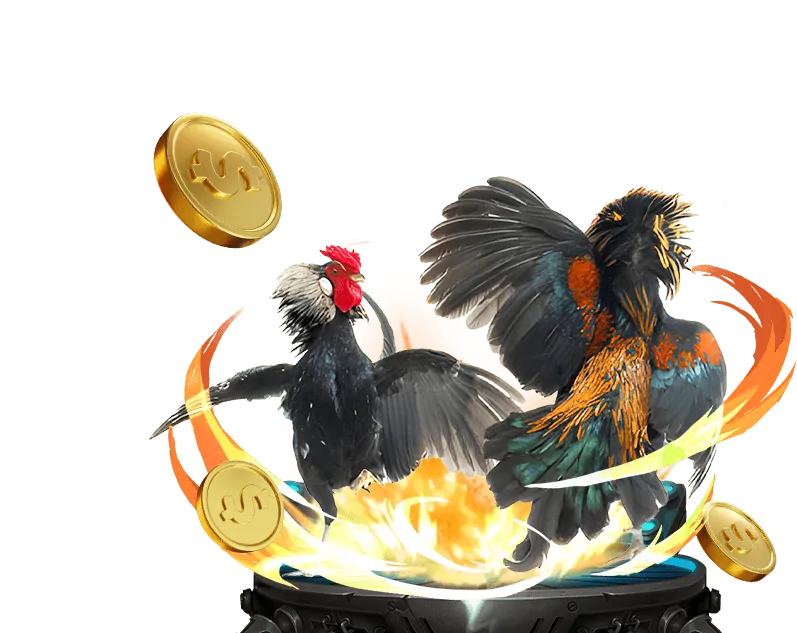 Giao diện đặt cược đá gà trực tuyến tại u888